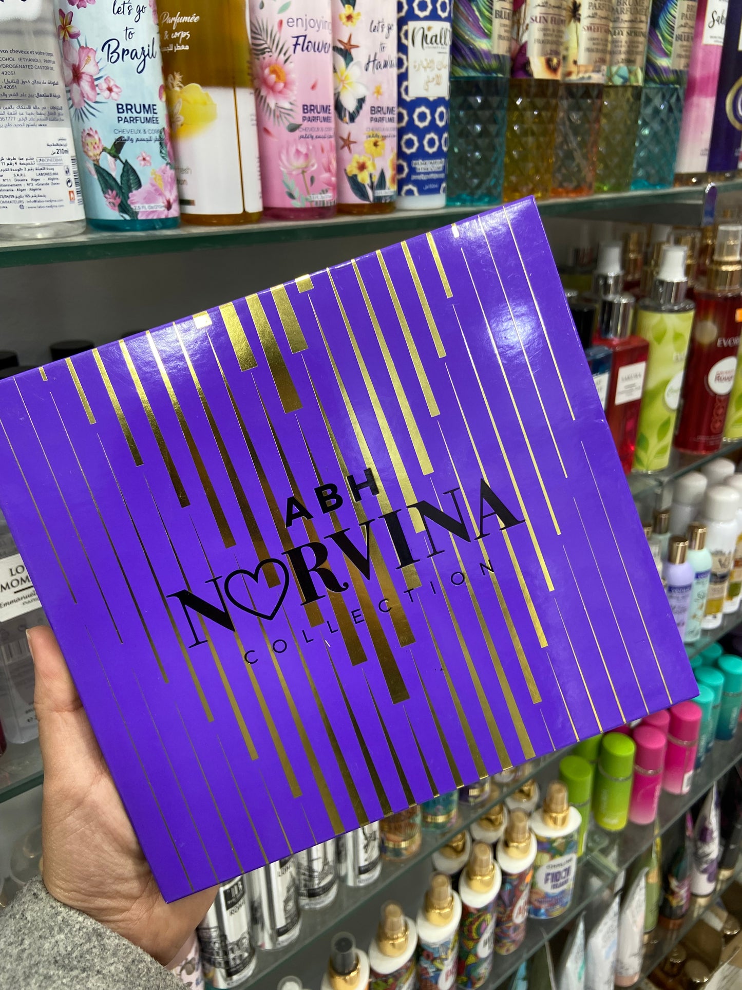 Palette ABH NORVINA