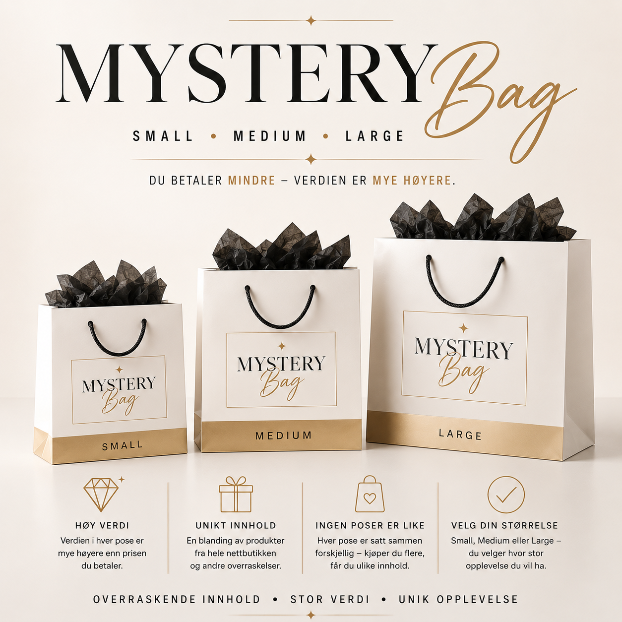 Mystery bag - Large